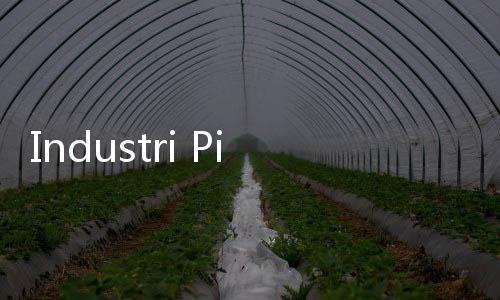 Industri Pinjaman Online Justru Tumbuh Pesat Hingga Rp81 Triliun, Tapi 7 Fintech Dicabut OJK!