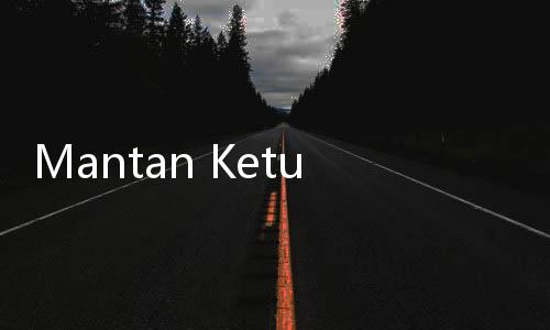 Mantan Ketua Bawaslu Jadi Ahli Kubu Anies