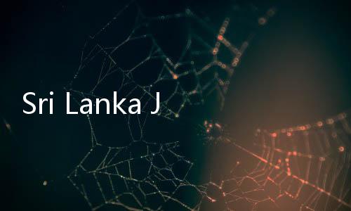 Sri Lanka Jadi Negara Paling Ramah Keluarga, Biaya Asuh Anaknya Rendah
